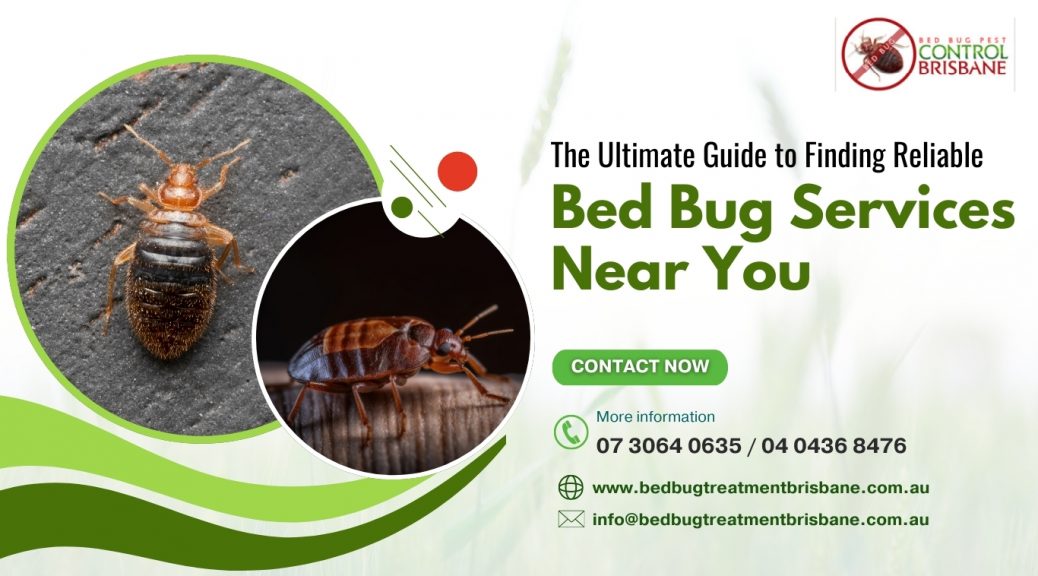 The Ultimate Guide to Finding Reliable Bed Bug Services Near You: Tips and Insights