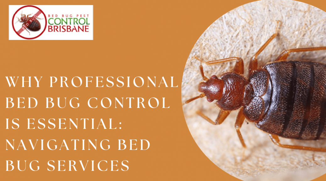 Why Professional Bed Bug Control Is Essential: Navigating Bed Bug Services