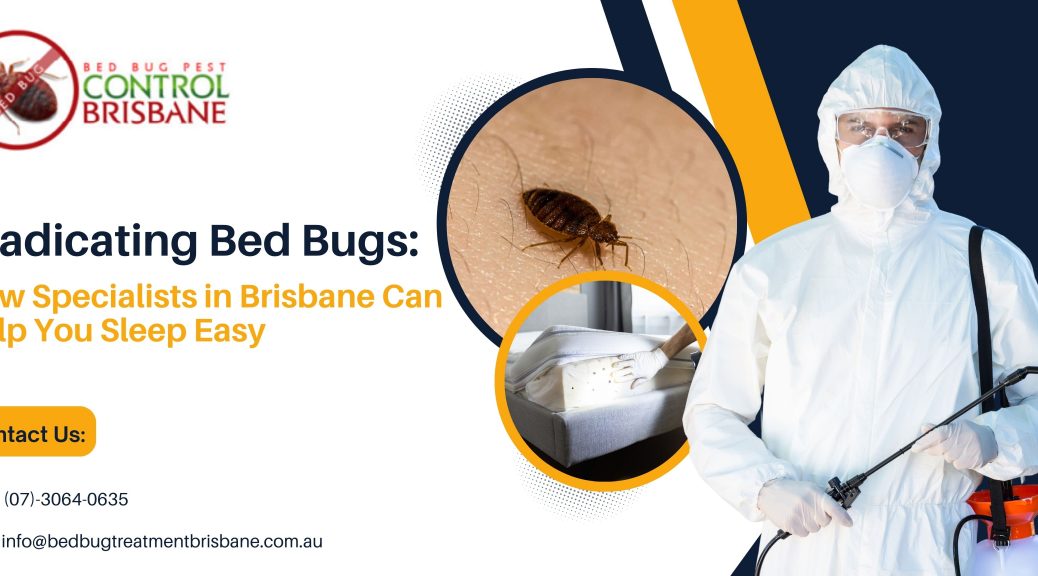 Eradicating Bed Bugs: How Specialists in Brisbane Can Help You Sleep Easy